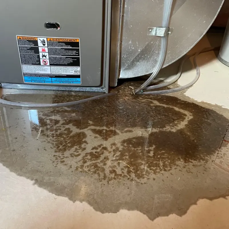 Appliance Leak Cleanup in Hudson Bend, TX