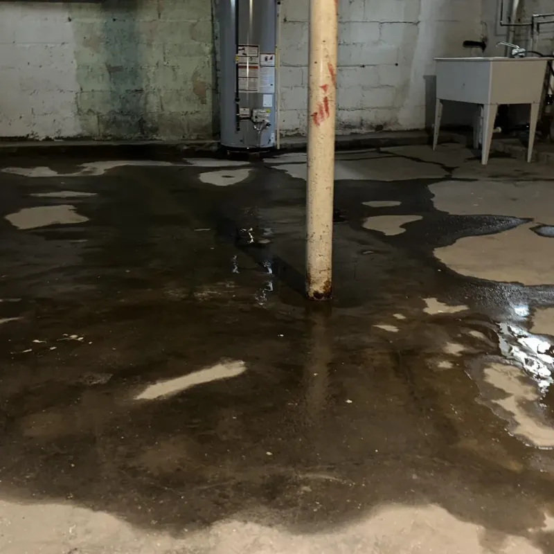Emergency Water Extraction And Removal in Hudson Bend, TX